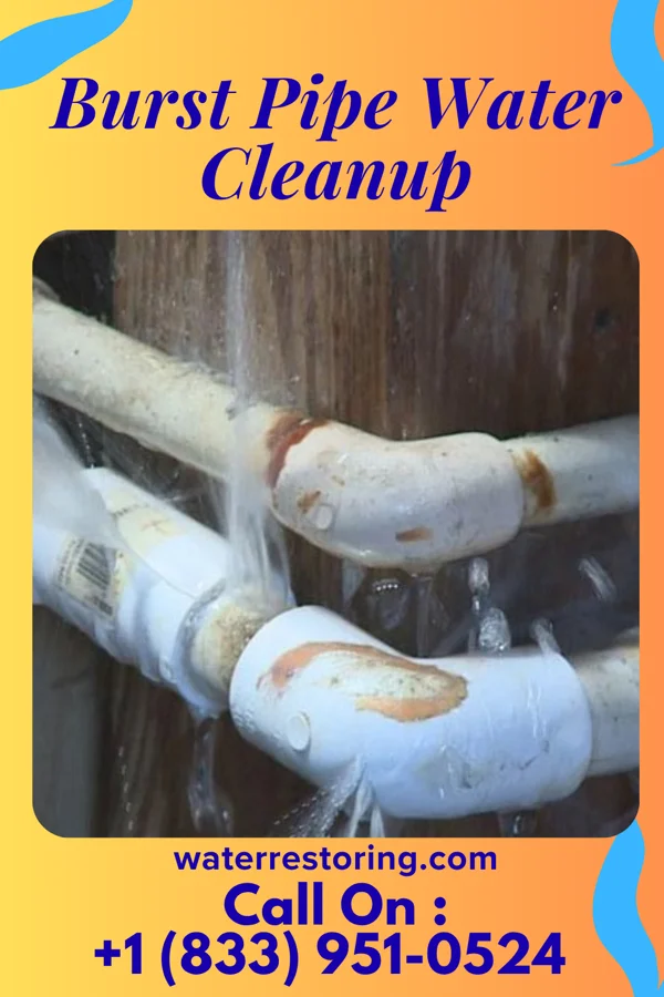 Burst Pipe Water Cleanup in Colfax, WA