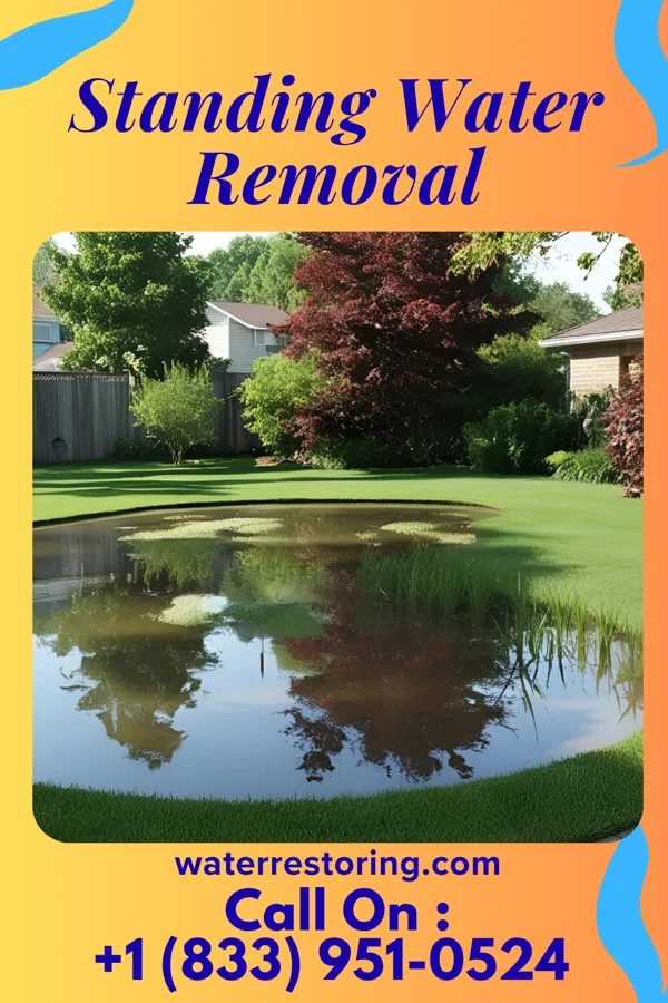 Standing Water Removal in Colfax, WA